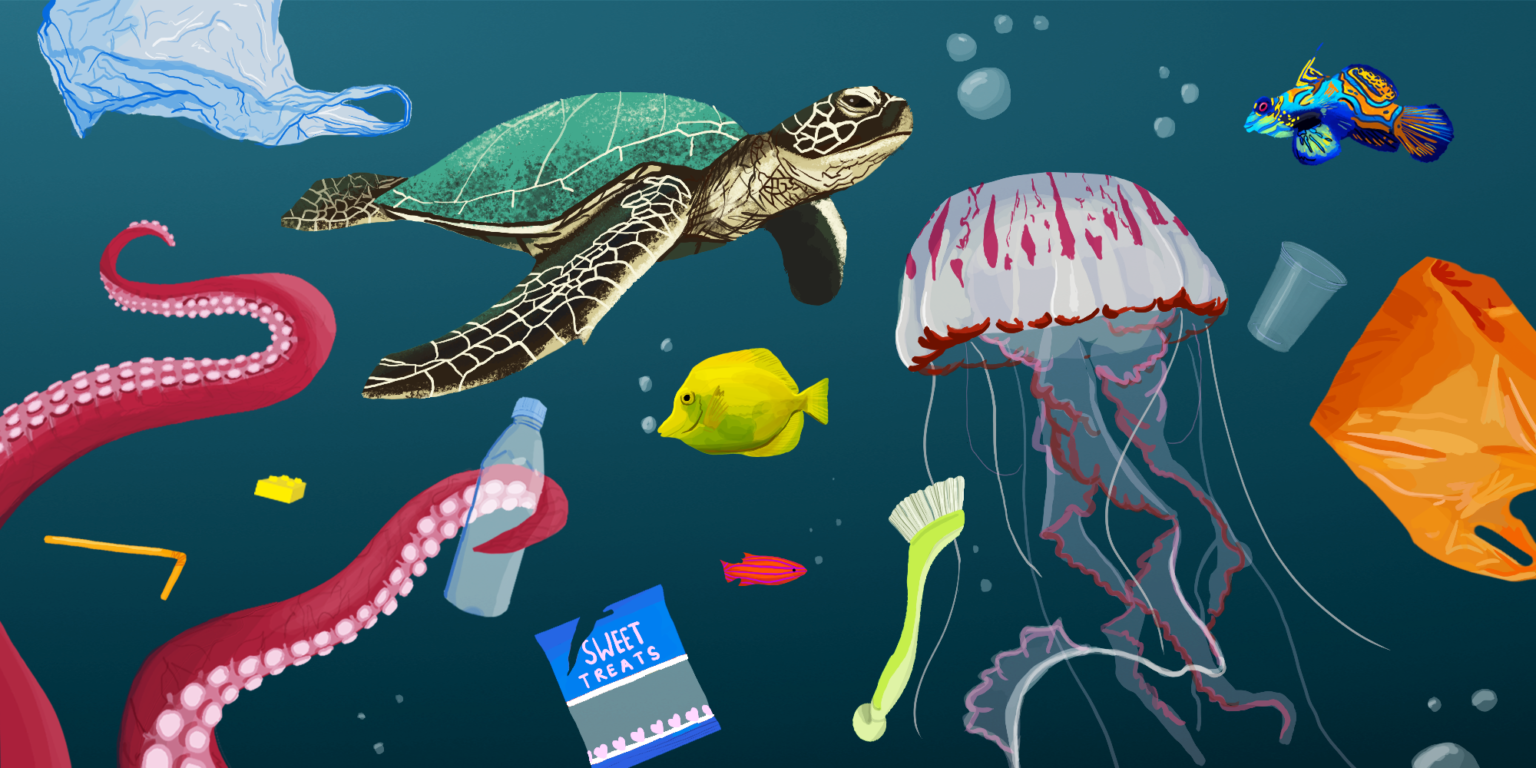 Ocean Pollution Causes & Solutions for ocean pollution The Seaholic