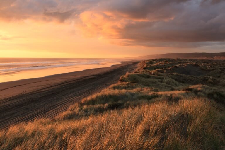 Port Waikato, New Zealand
