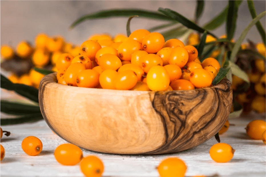 Sea Buckthorn